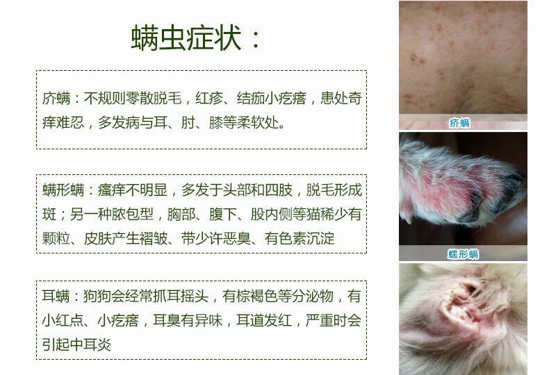 皮特芬喷剂狗狗皮肤真菌狗猫癣猫藓猫泰迪感染宠物