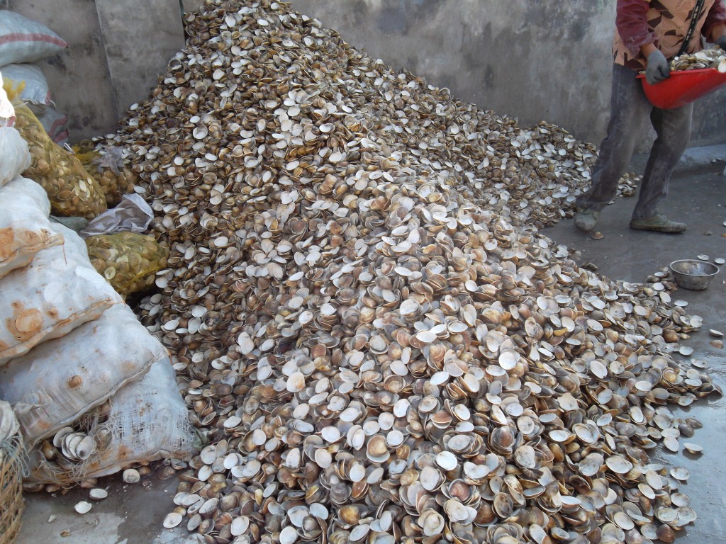 厂家直销 蛤蜊油批发 皲裂油厂家 贝壳油 嘎啦油 老上海牌蛤蜊油