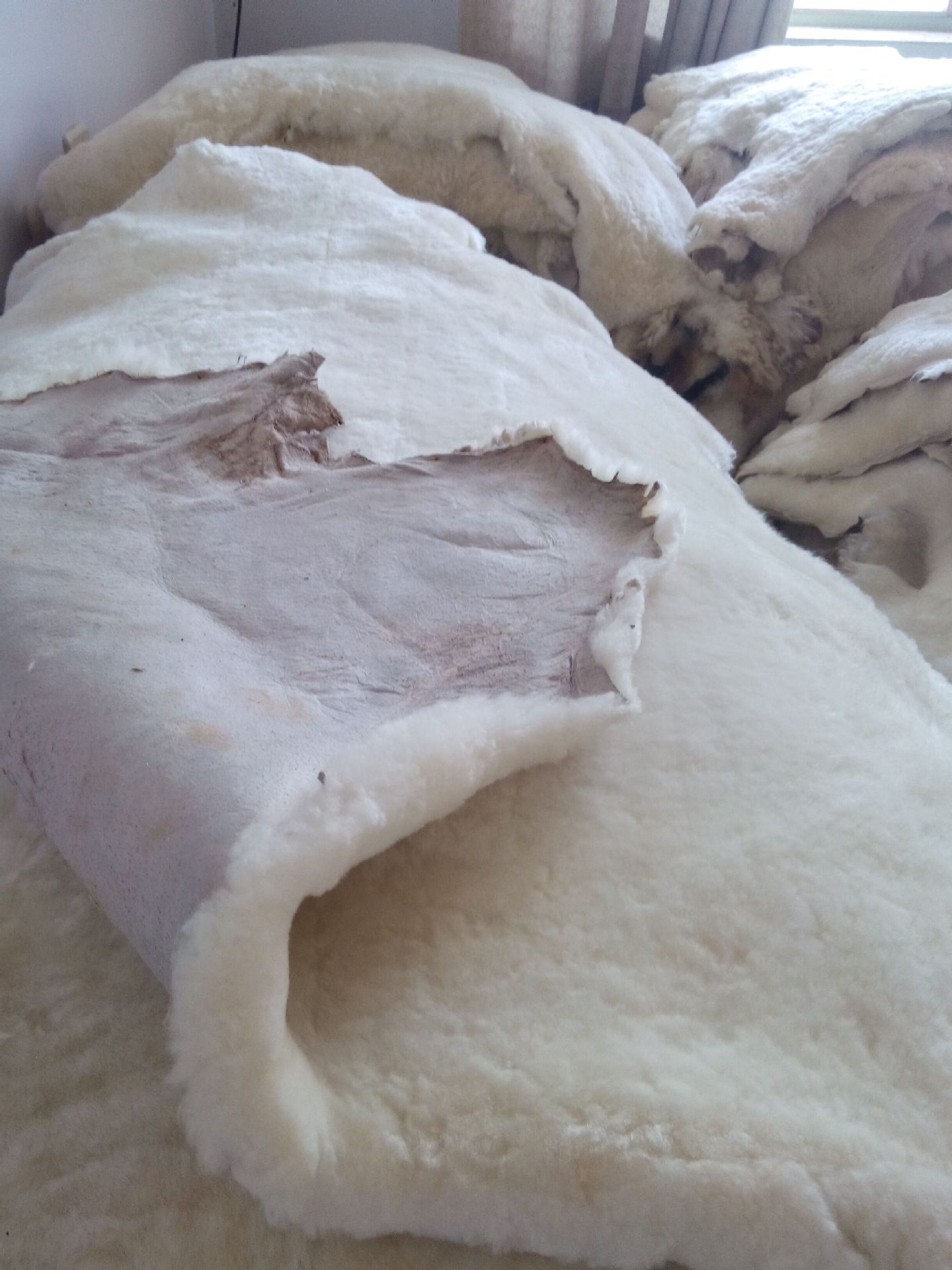 澳洲进口绵羊皮羊剪绒整张皮形鞋里皮服装里