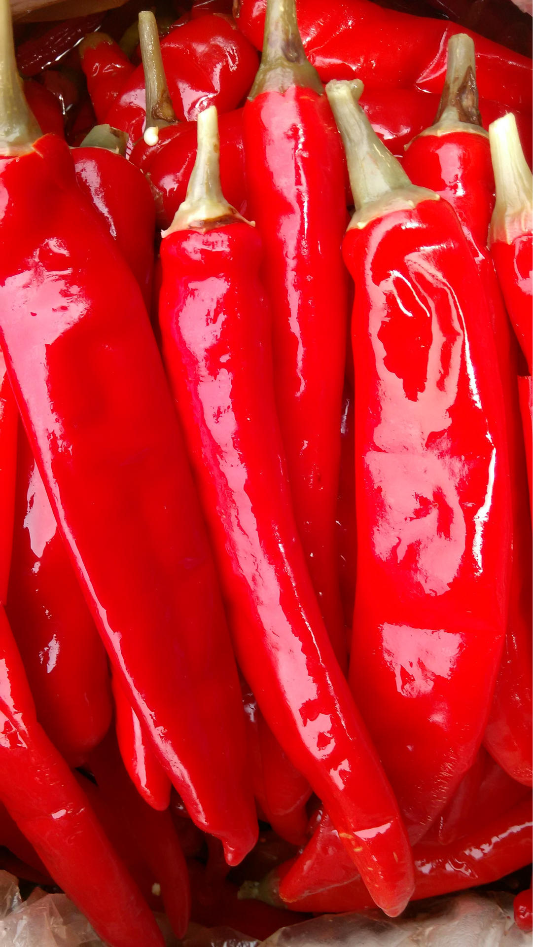 四川特产传统风味农家自制泡美人椒泡椒,川菜,酒楼,火锅烹饪,自家首选