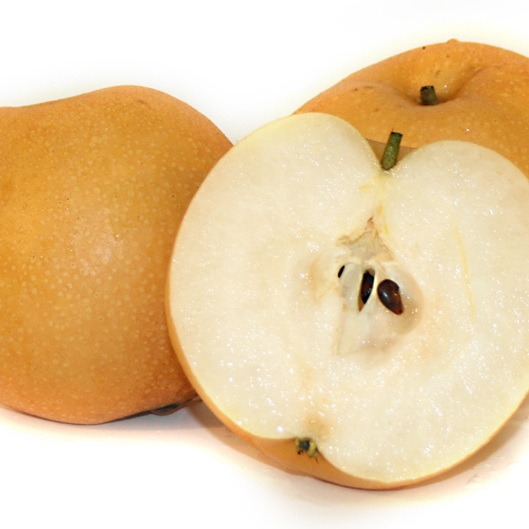 梨-莱阳黄金梨生产基地,哪里的黄金梨便宜 梨膏