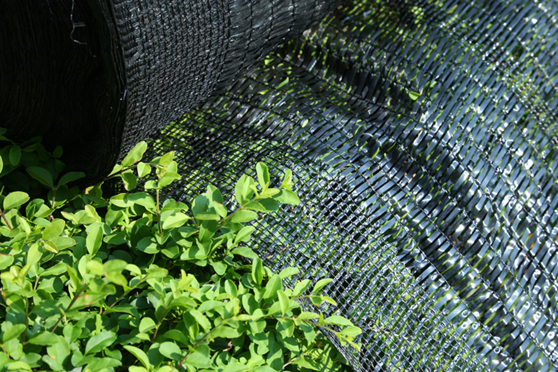 厂家优质黑色农业园艺透光保湿降温防紫外线遮阳网交织