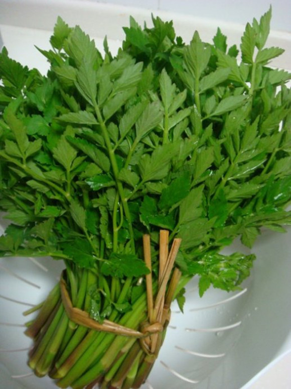 水芹菜
