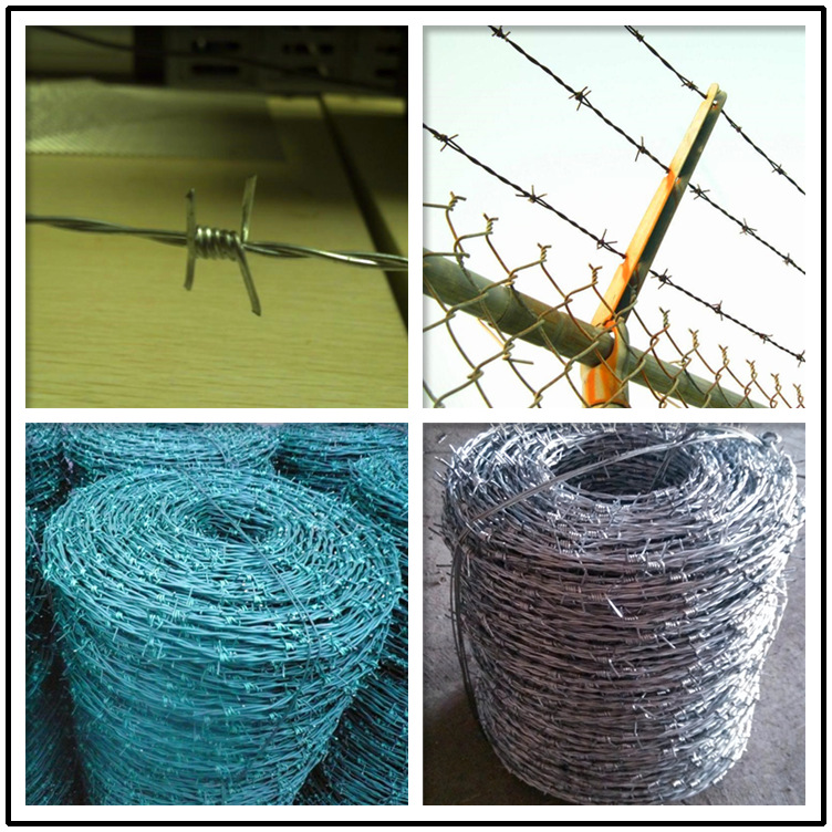 厂家直销bwg16*16,14*14高碳钢包塑 pvc刺绳 刺丝.