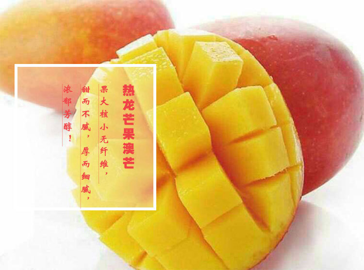 热龙芒果澳芒 新鲜水果 基地直销新鲜芒果 优质热带水果包邮
