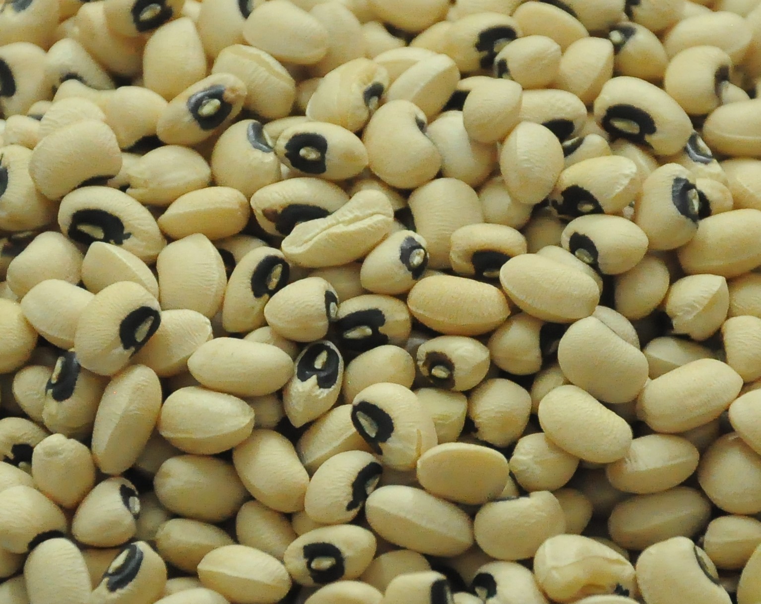 白豆背景食品成分 照片圖桌布圖片免費下載 - Pngtree