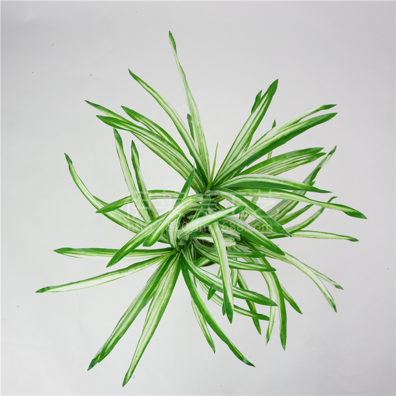 仿真植物3叉白叶兰草 把束假花仿真花艺园林绿化工程配材盆景绿植