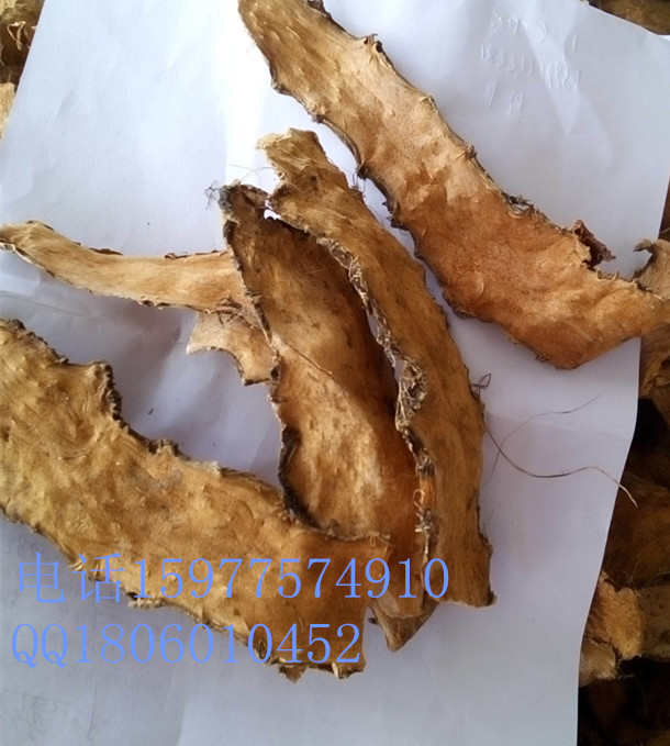 产地直销野生勒藕 生瘌薯菇 瘌芋头 瘌薯菇 竻慈姑 勒慈姑