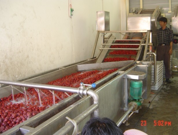 供应 大枣清洗机   洗菜机  果蔬清洗机 厂家直销