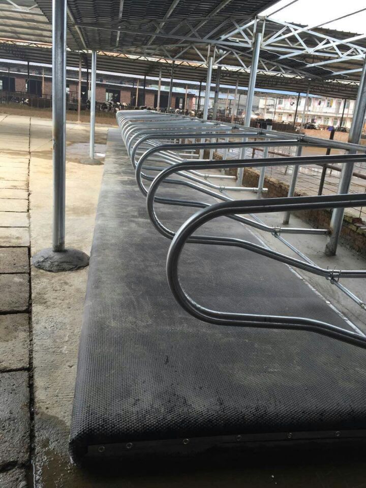 供应奶牛卧床,牛床垫,橡胶防滑垫,猪舍用橡胶保温垫