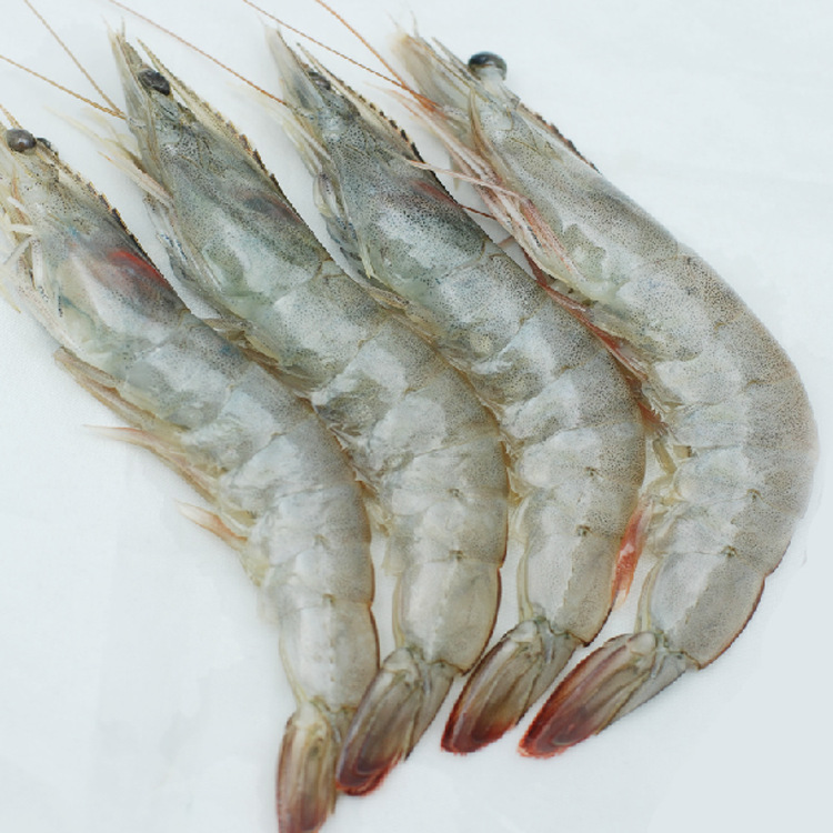 厄瓜多尔进口白虾 南美白虾 冷冻海白虾礼盒 2公斤/盒 15-20只/斤