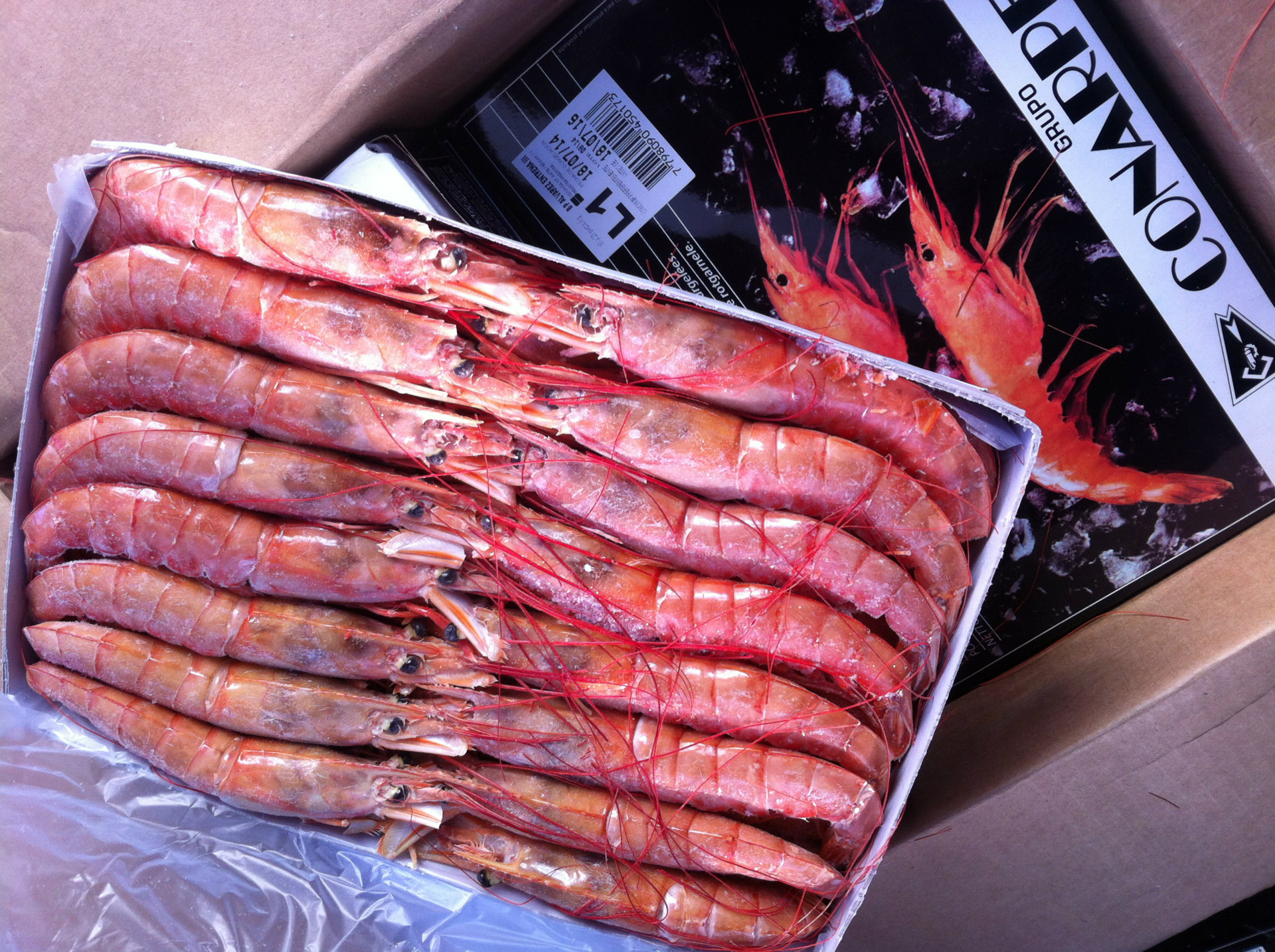 阿根廷红虾 野生船冻大虾l1 经典黑盒 优质海鲜供应商