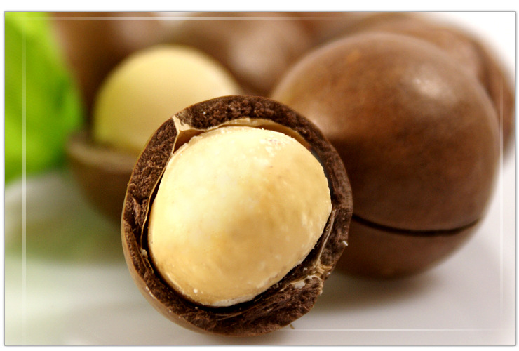 【亮中亮品牌】奶香夏威夷果 中小粒 开口送开口器 厂家批发