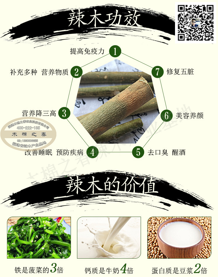 辣木根茎 木保健枝干泡酒专用 养生汤料