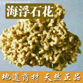 中药海浮石