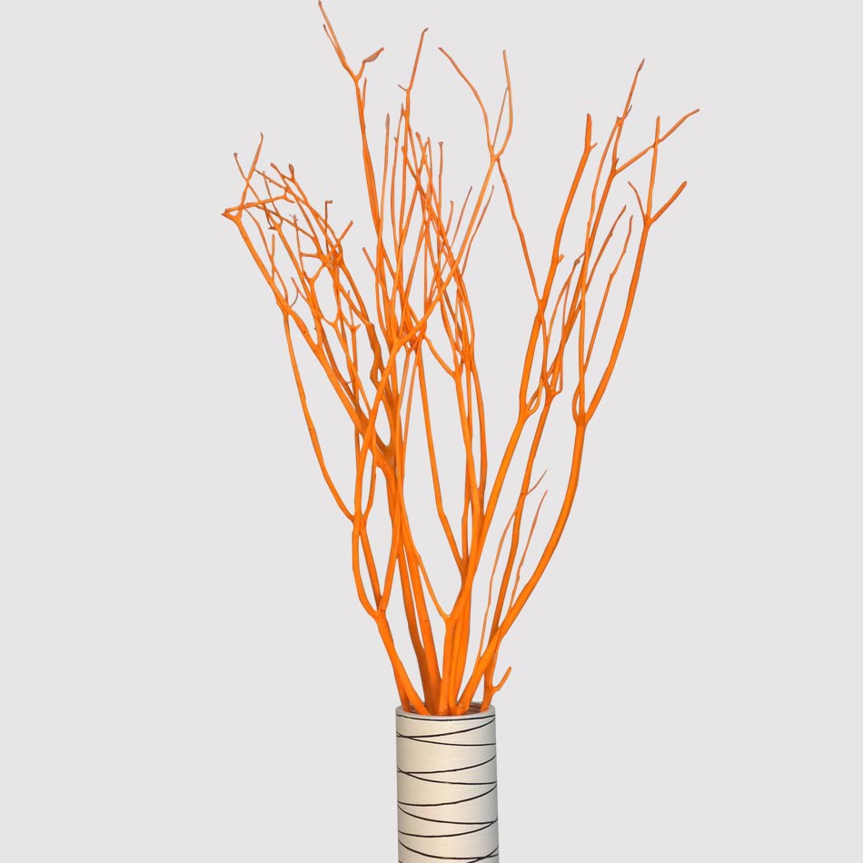 天然树枝三叉木 艺术干花落地干支装饰橱窗 客厅玄关隔断创意干枝