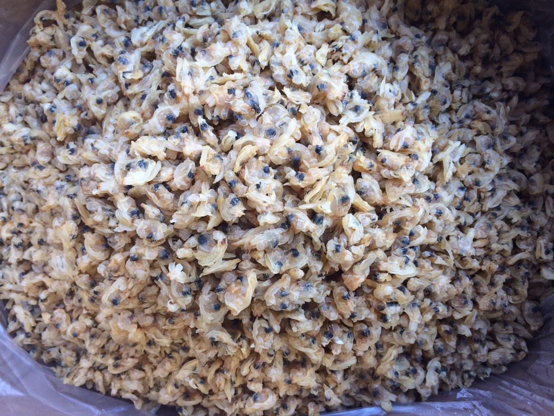 批发 花甲干 哈粒干 产地直销海鲜干货