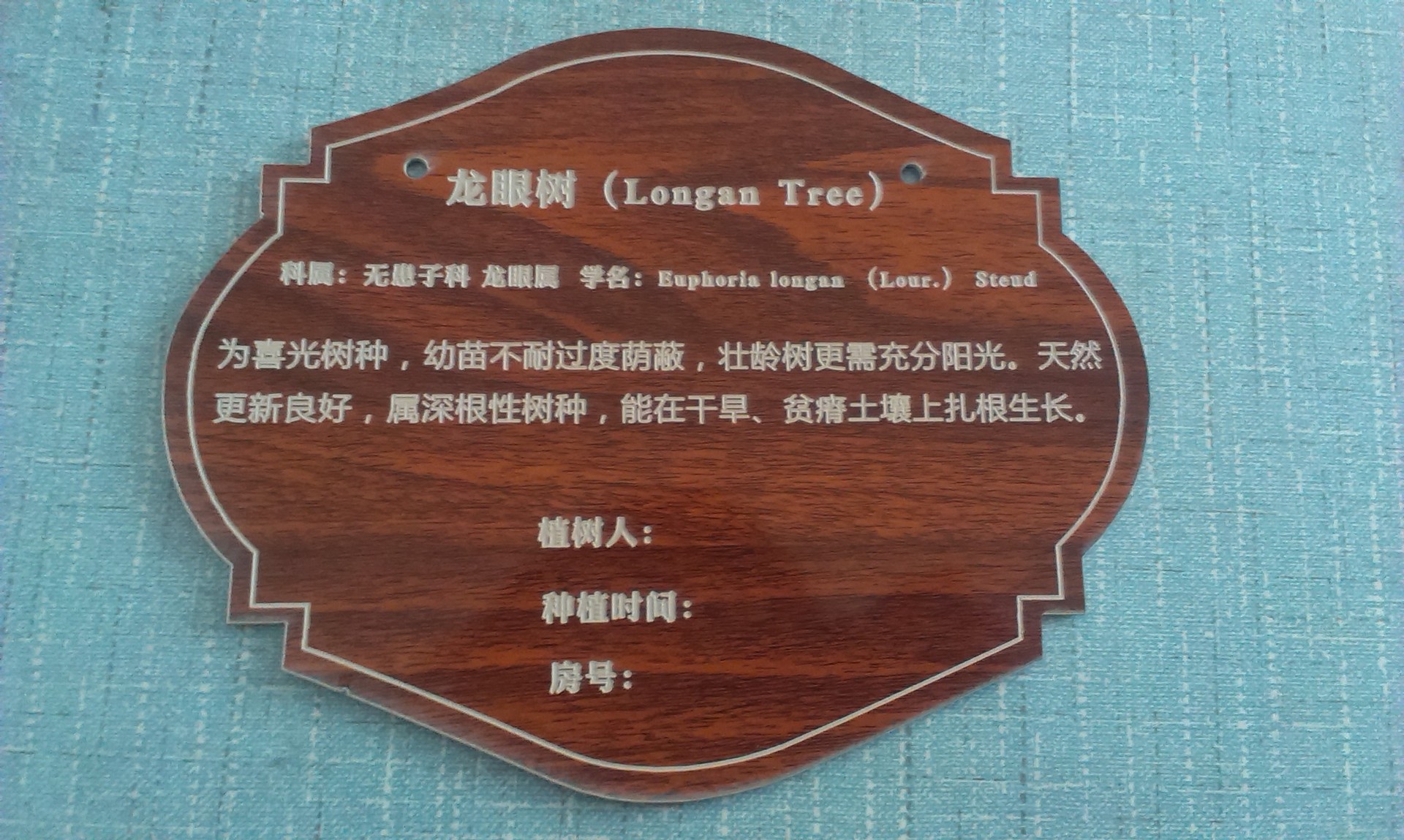 树名牌学校树木指示牌树木标识牌树木解说牌