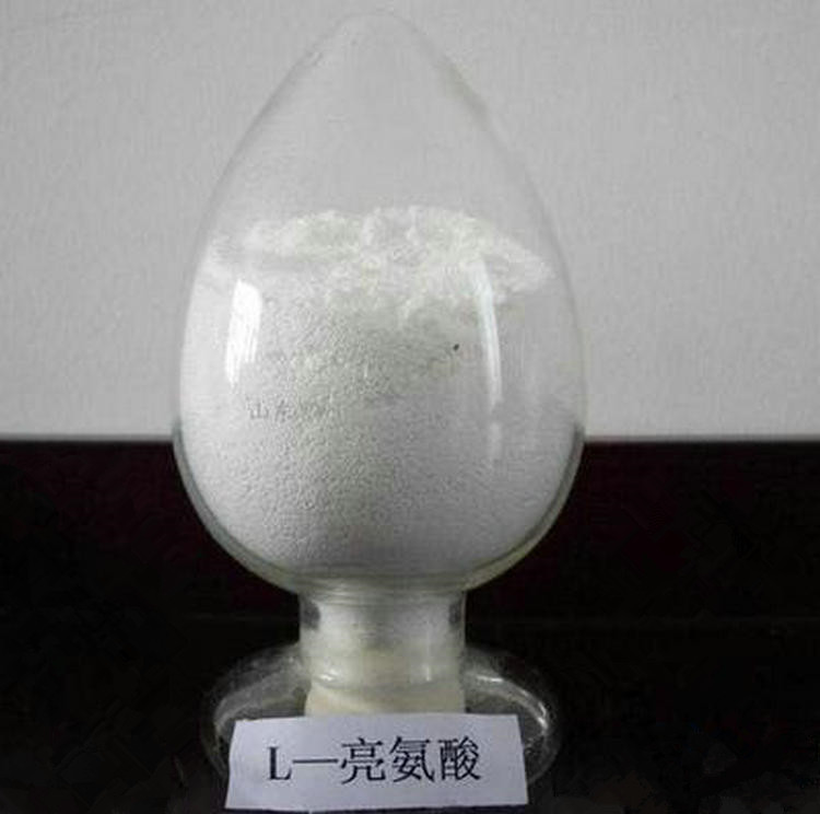 价格优惠 白色六面体营养增补剂 优质食品级l-亮氨酸