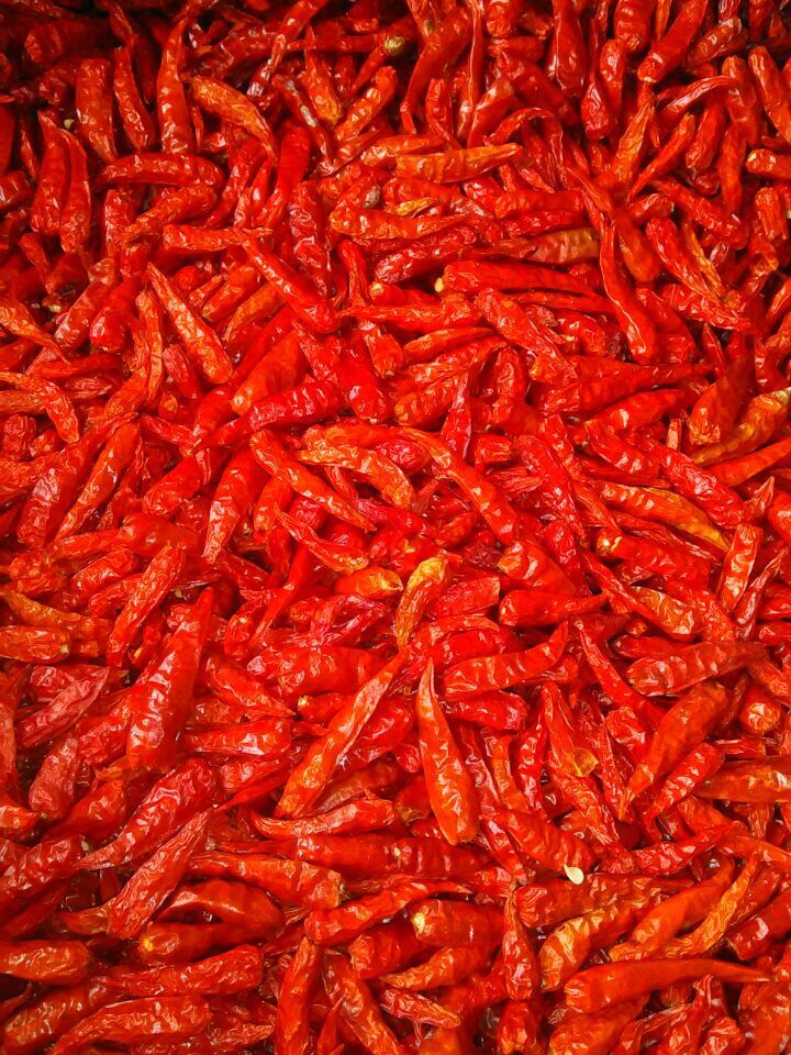 进口越南特产干辣椒王 红辣椒干超辣 特辣