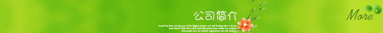 公司简介2
