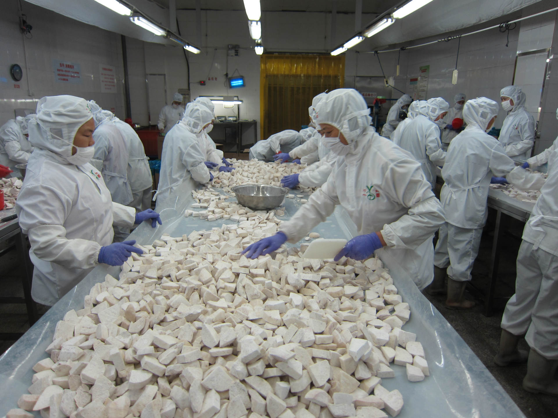 冷冻芋头块速冻芋头块速冻食品冷冻食品