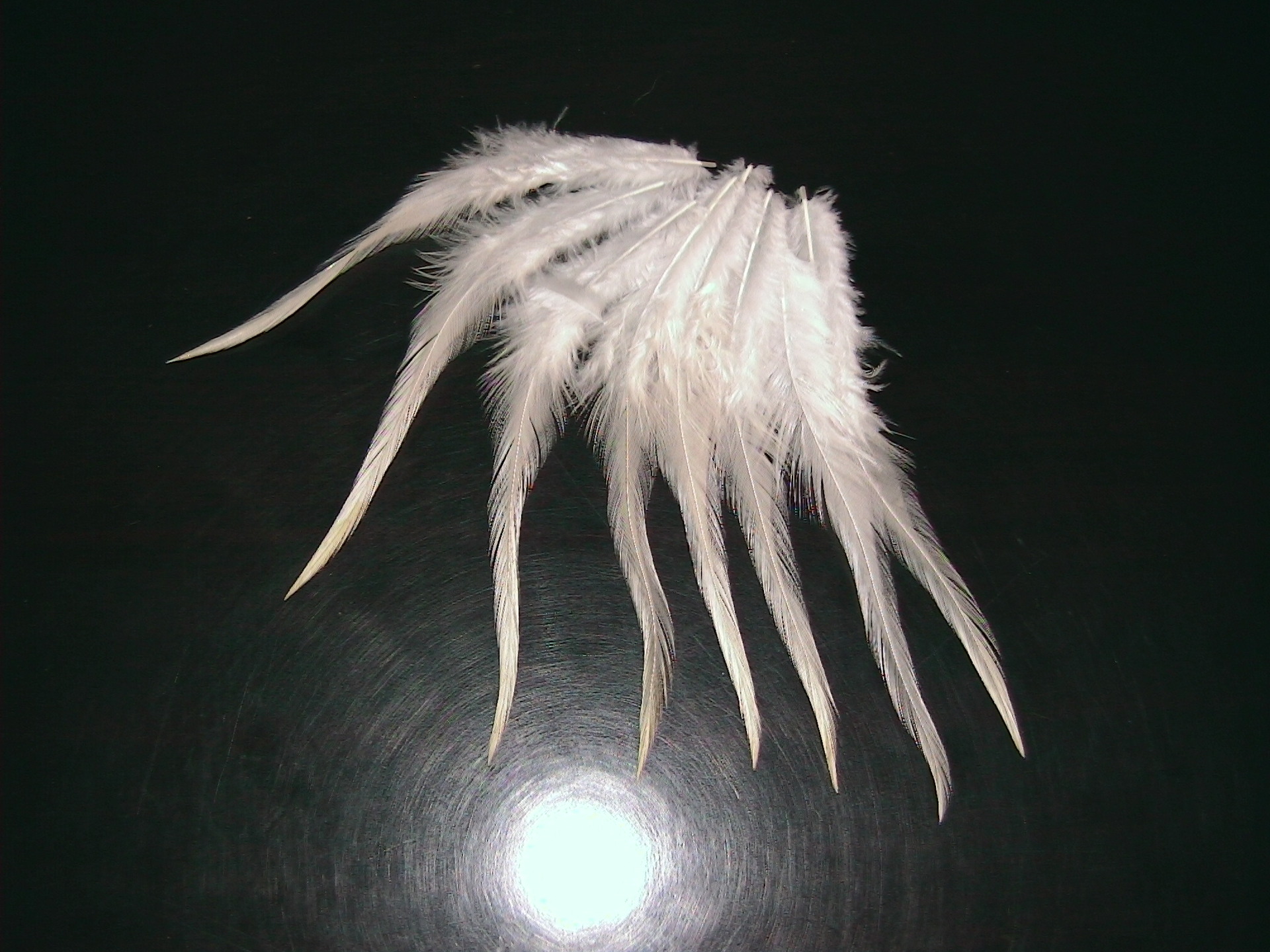 厂家供应 山东白羽鸡毛白色公鸡毛厂家直销批发鸡毛