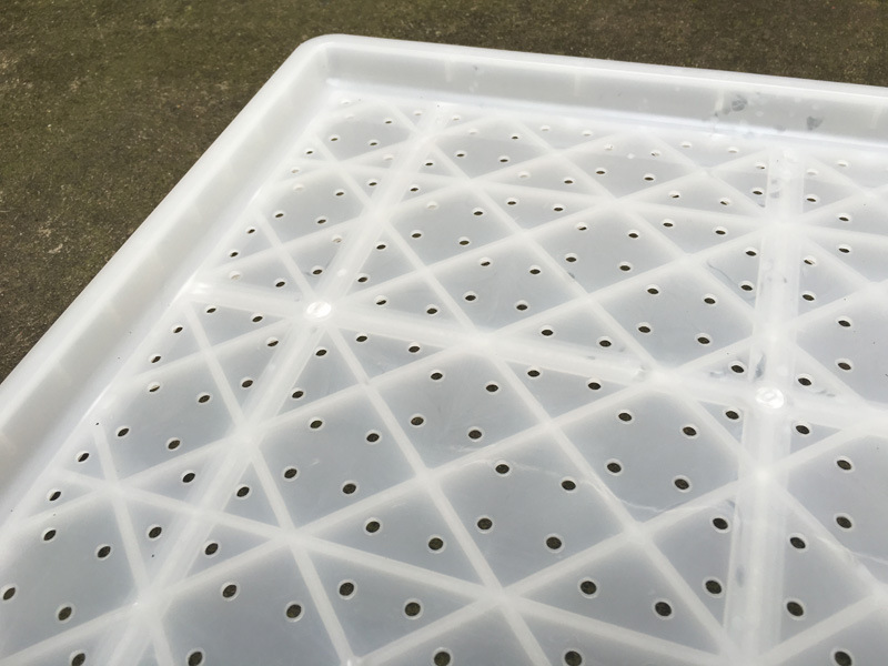 9寸取苗盘 育苗秧盘 塑料秧苗盘 420g