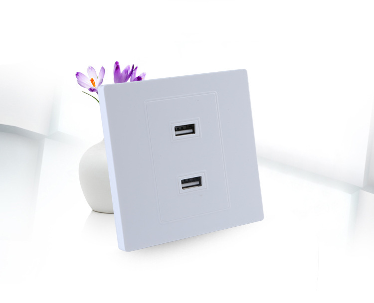 低压36v转5v充电器 usb插座面板86型 墙壁双口多孔usb充电插座