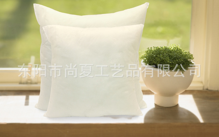 枕芯 详1