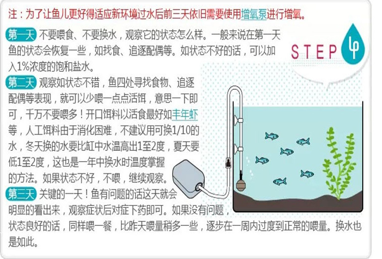 (1)非分销场景下,指平台活动(不含分销场景的活动)预热期(若无预热期 