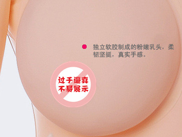 855294011_822882052_副本