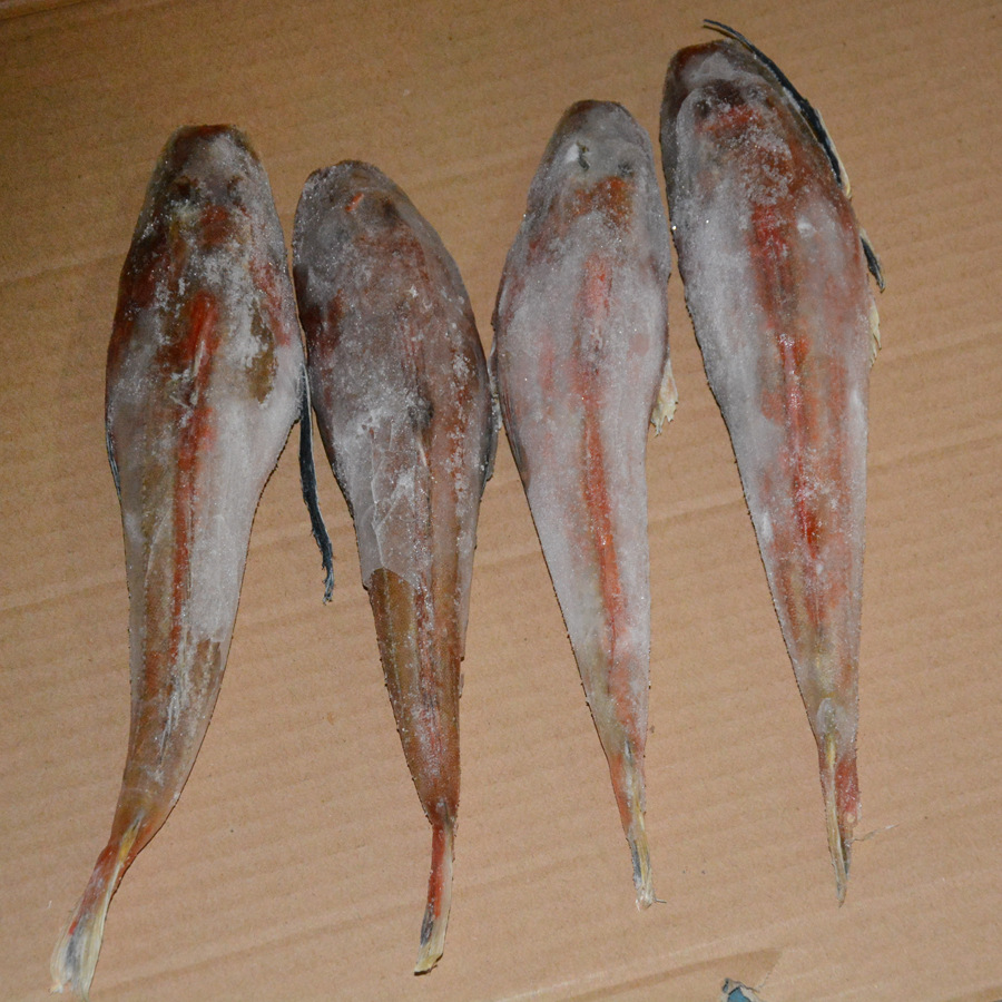 新鲜冷冻红头鱼8斤/箱 滋补通乳红娘鱼深海野生红鞋鱼红头鱼