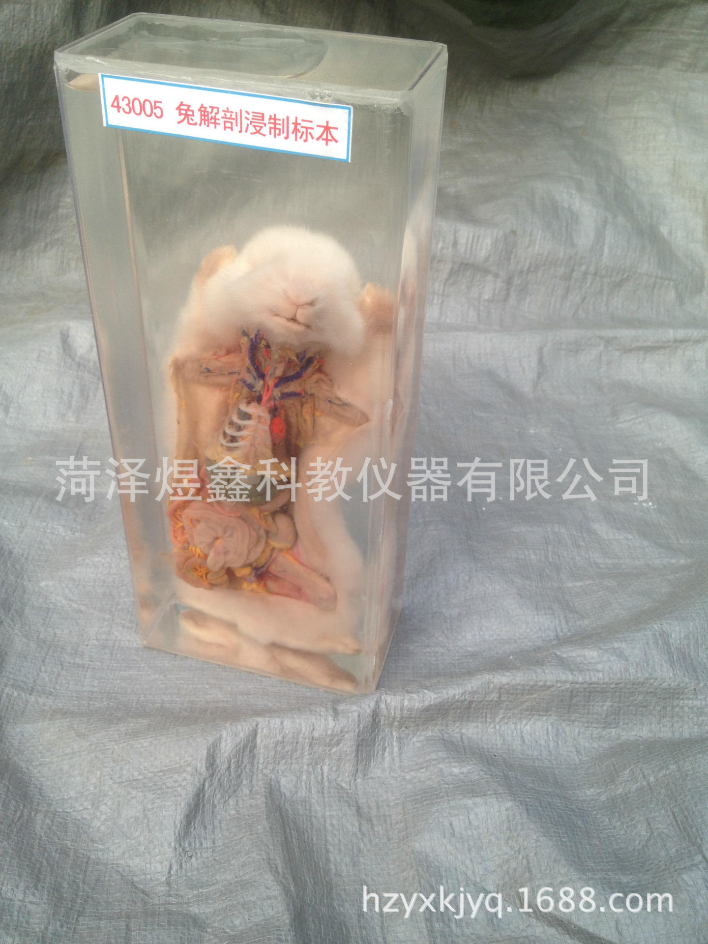 教学仪器厂家直销 品德与社会教学视听资料 多媒体教学光盘