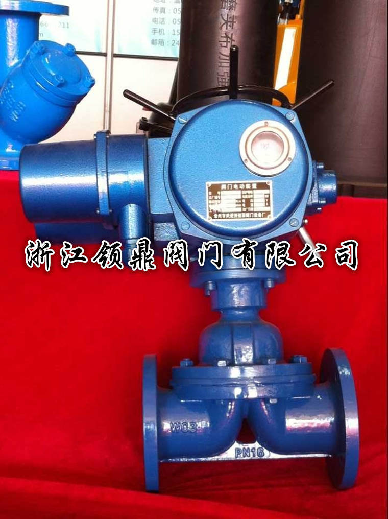 G941J电动隔膜阀实拍1