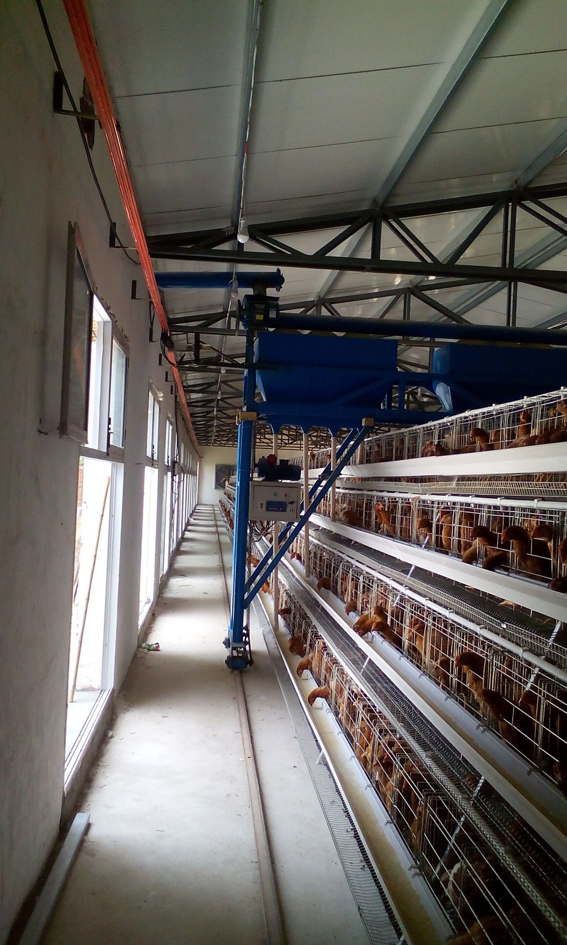 厂家直销高配新型多功能蛋鸡自动喂料机,加配消毒系统