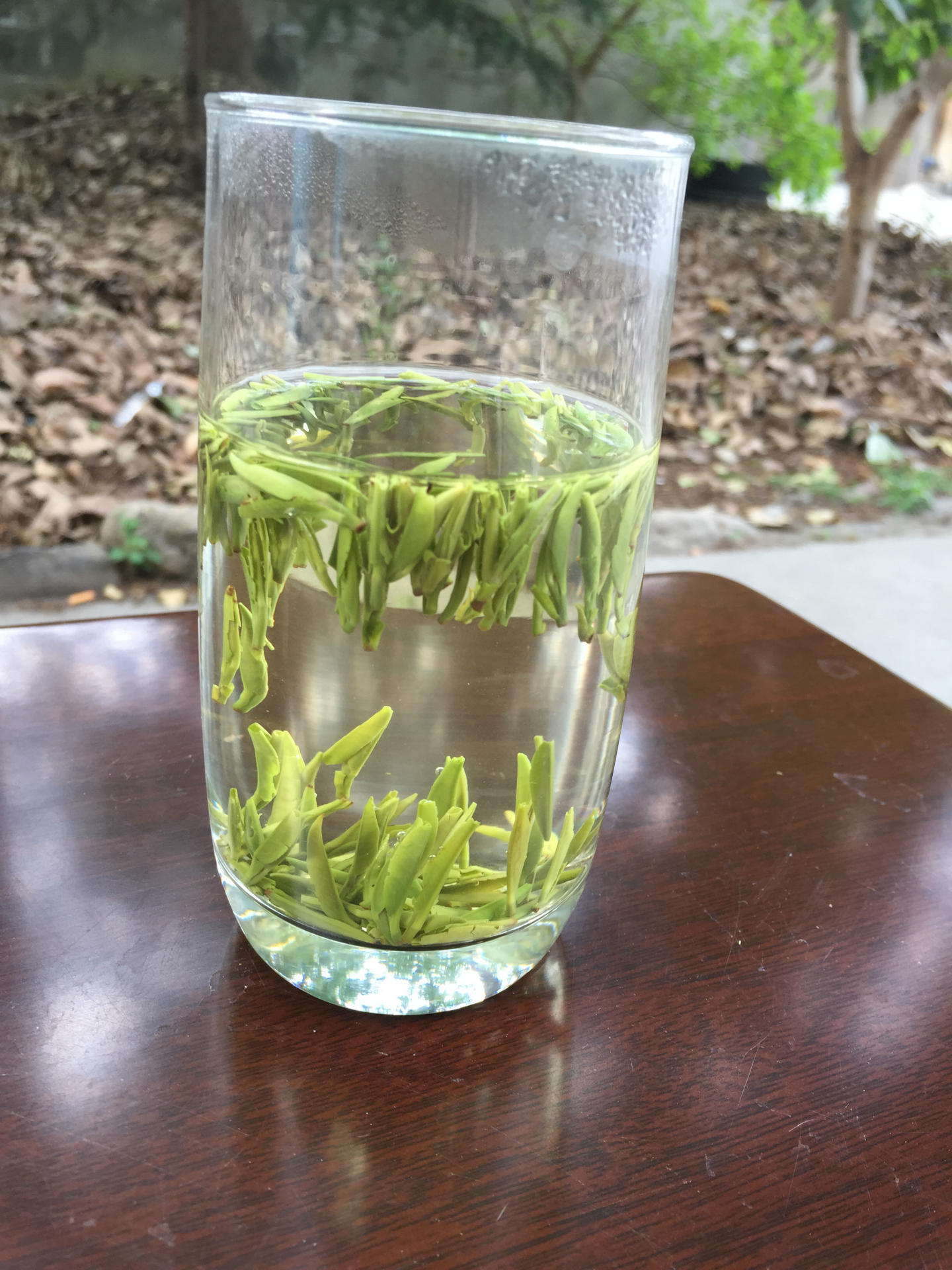 平武绿茶九寨雀舌精选礼盒包邮高山茶叶厂家