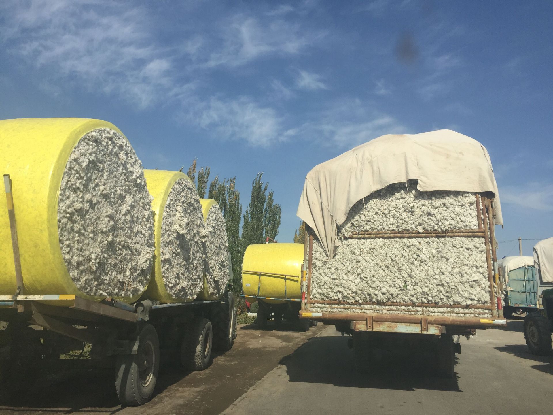 新疆棉花一级长绒棉 棉被被胎散装皮棉 纺织原料原产地 特价