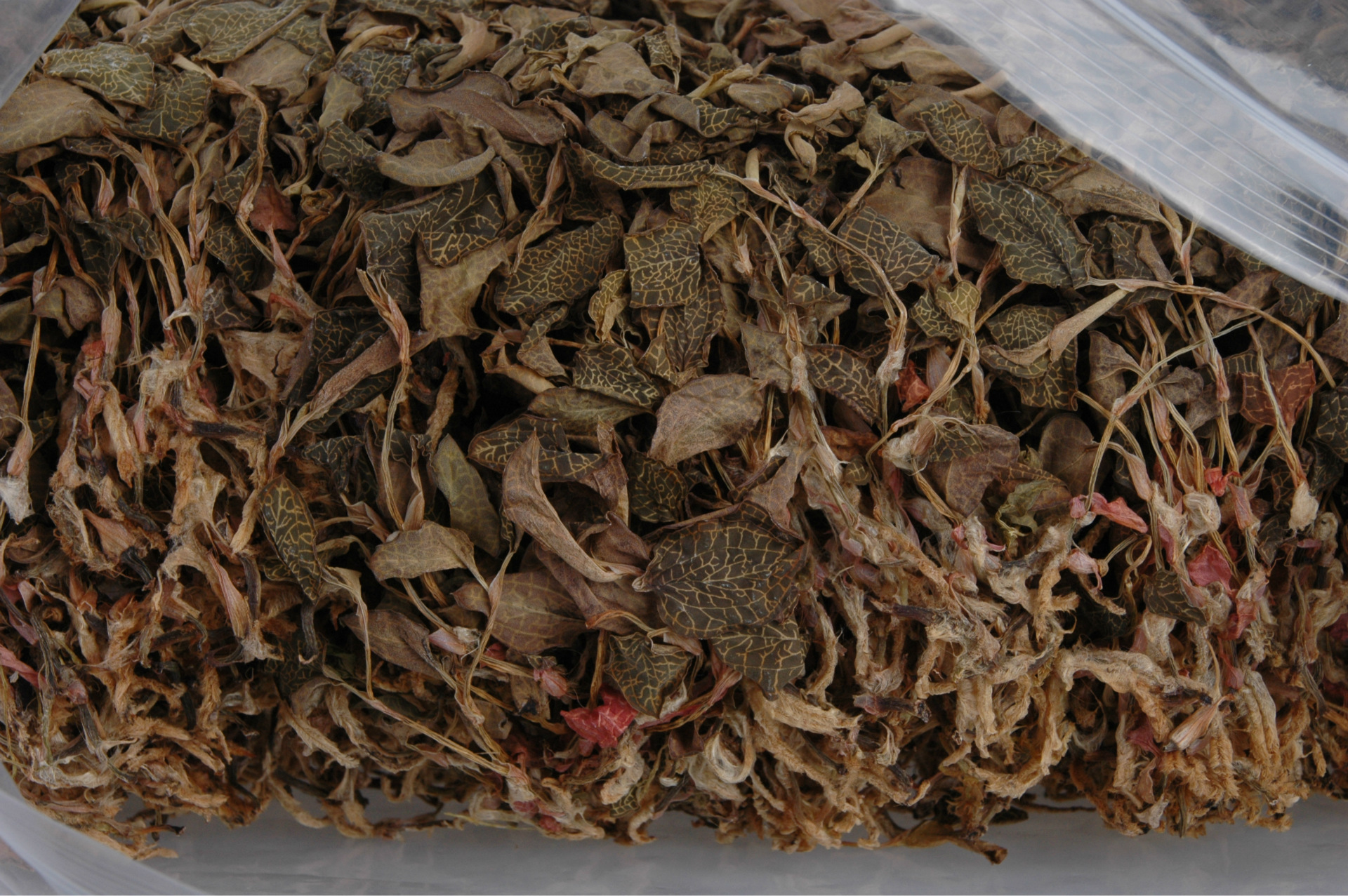 福建南靖散装金线莲干品 整株 养肝滋补茶产地直销