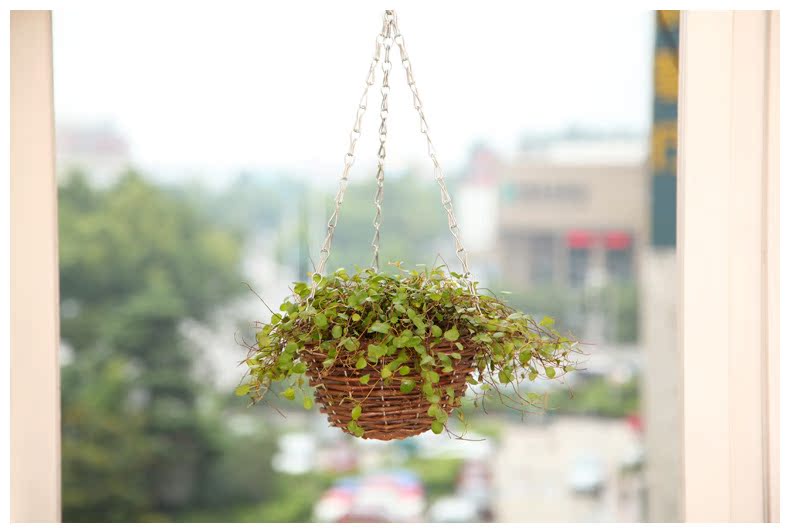 柳编纯手工编织挂篮绿萝多叶植物用柳编花盆厂家直销