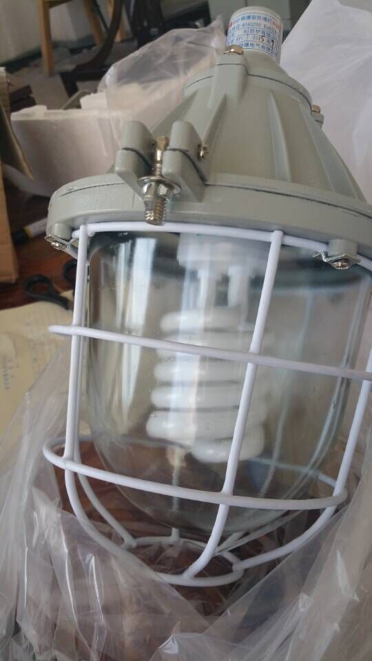 BAD(BCD)隔爆型防爆灯250W45W节能灯 隔爆型防爆灯250W,隔爆型防爆灯,防爆灯,BAD防爆灯