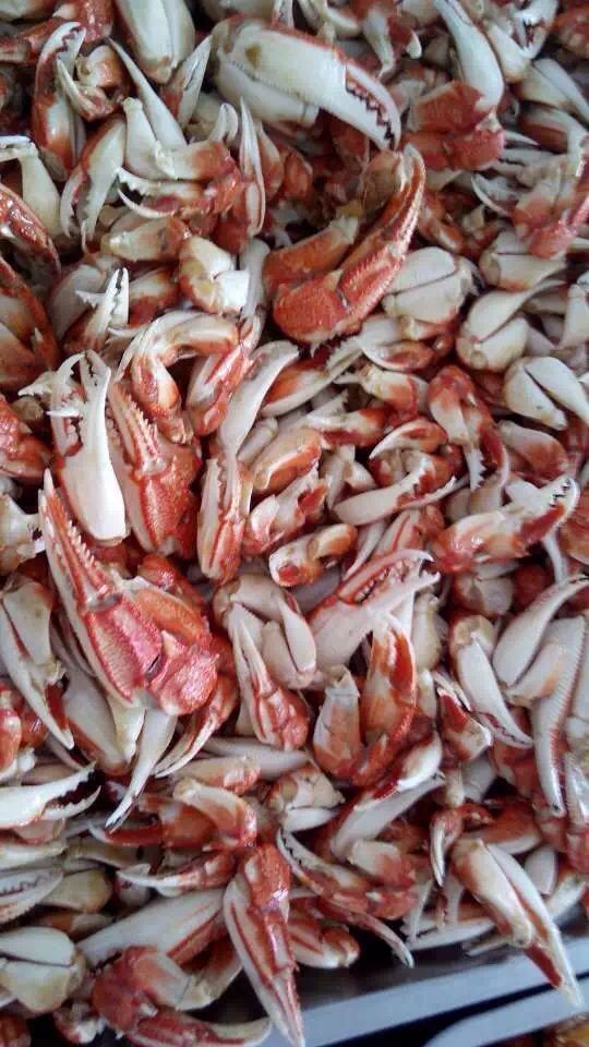 海产品冷冻螃蟹腿 蟹钳原材料 花蟹钳 一手货源 厂家蟹抓批发零售