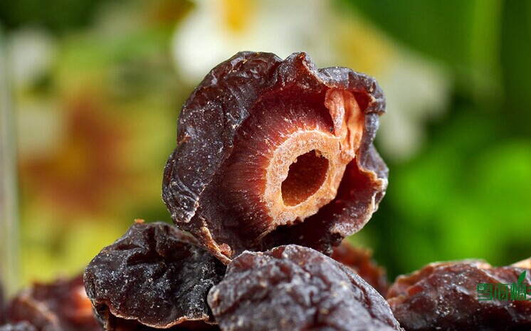 批发雪海梅乡 玫瑰半梅190g易拉罐装果干系列 话梅肉 休闲小吃