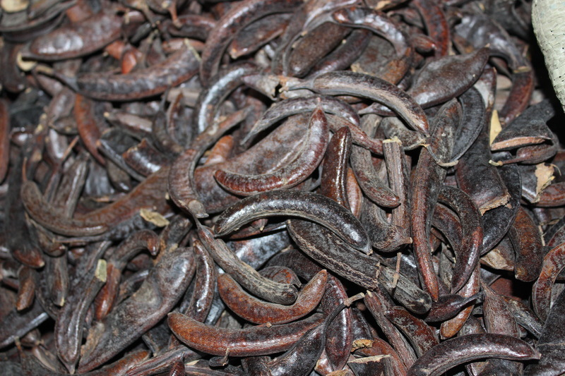 厂家直销优质牙皂 批发 制药原料 品质保障批发