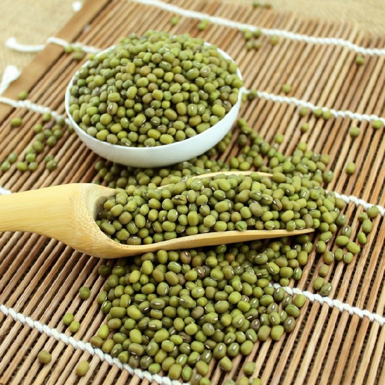小绿豆500g 农家自种 明绿豆新货 土特产粗粮 五谷杂粮毛绿豆包邮