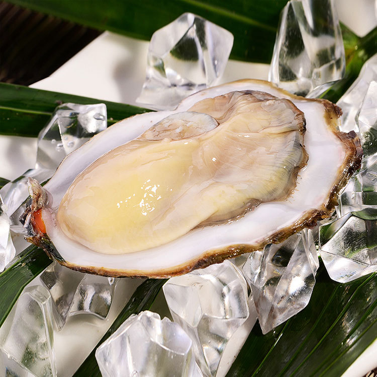 优质进口澳洲塔斯马尼亚生蚝级牡蛎批发每个90100g空运蛎蛤