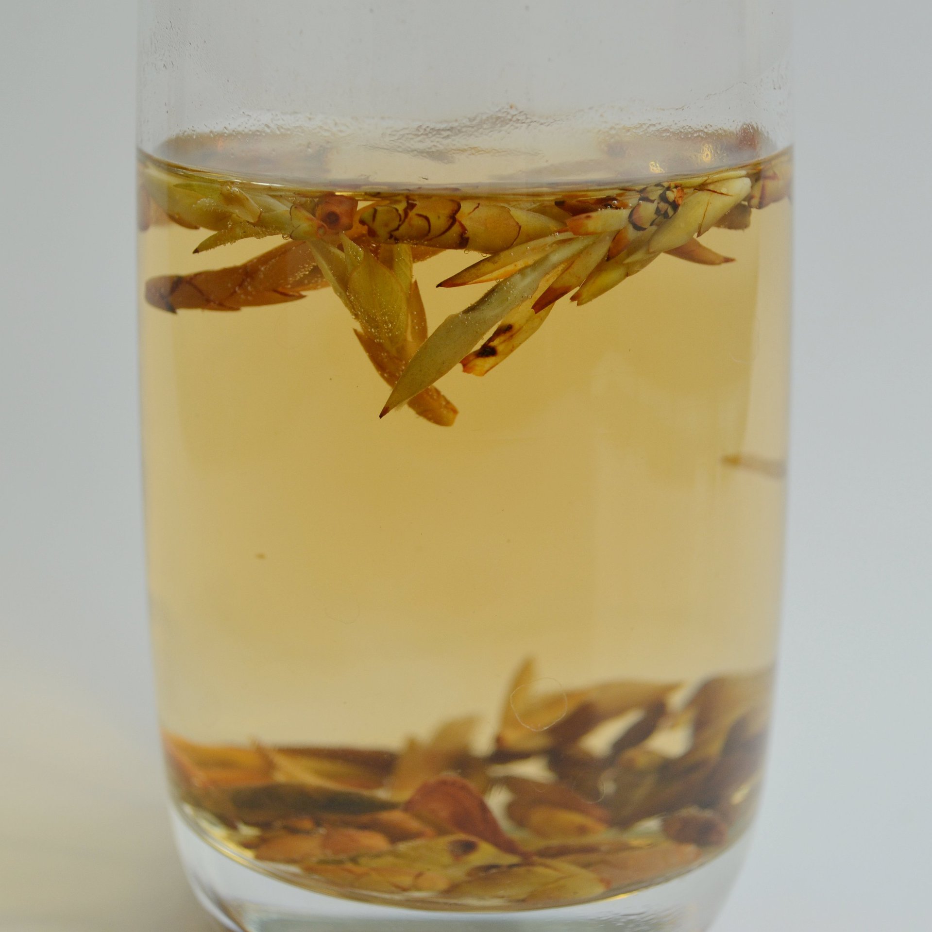 供应原生态高山老鹰茶四川炒青老鹰茶厂家批发散装老鹰茶