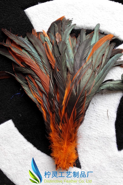 厂家羽毛批发供应 彩色鸡尾毛 diy羽毛饰品配件 公鸡尾毛 35-40cm