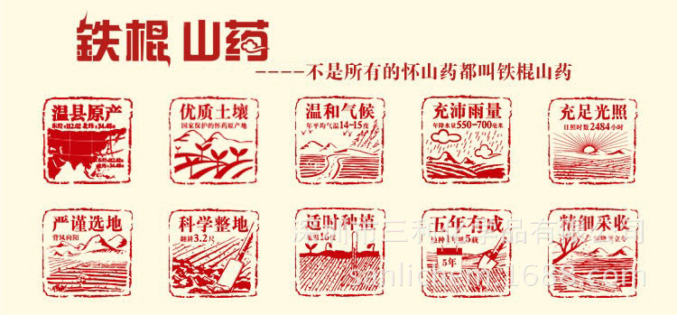 温县特产:垆土铁棍山药_食药同源 糖尿病人食疗佳品