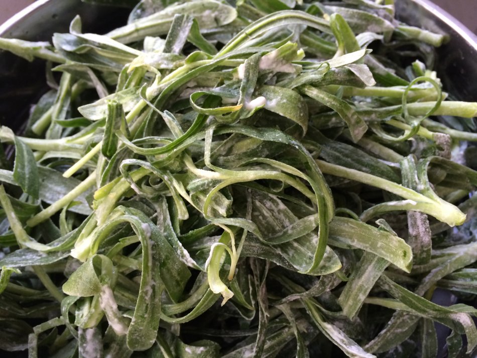 山东淄博当地有一种野菜叫姑扎头,它学名叫什么?-钢知道